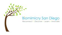 Biomimicry, bioinspired design, sustainablity, resilience, regenerative 
